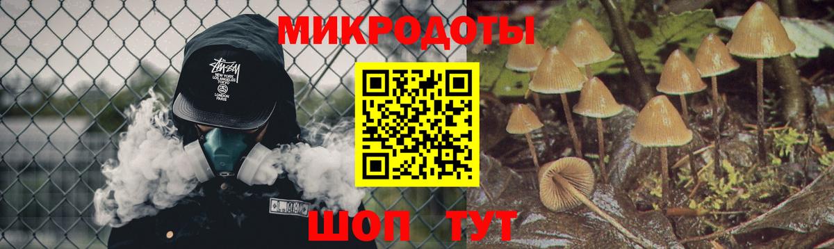 Псилоцибиновые грибы Psilocybe Ярцево